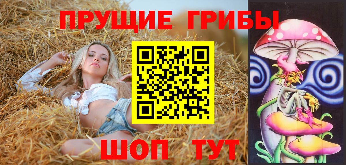 Псилоцибиновые грибы прущие грибы  сколько стоит  Петровск  Псилоцибиновые грибы Psilocybine cubensis  Вход с VPN 