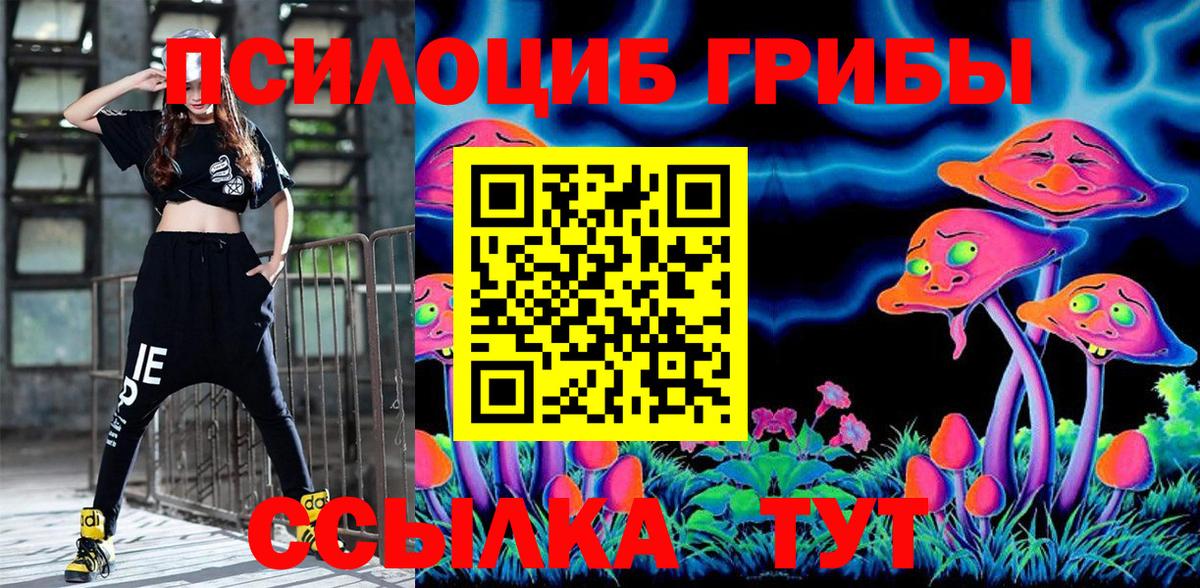 Галлюциногенные грибы Psilocybe Петровск
